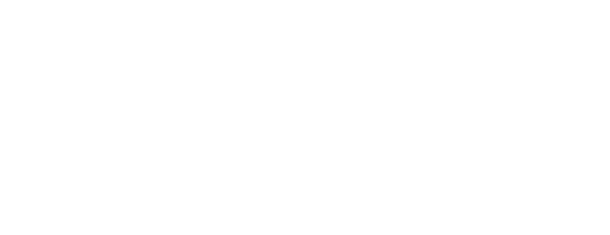 Schade Experts